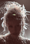 Miley Brasil - Galeria